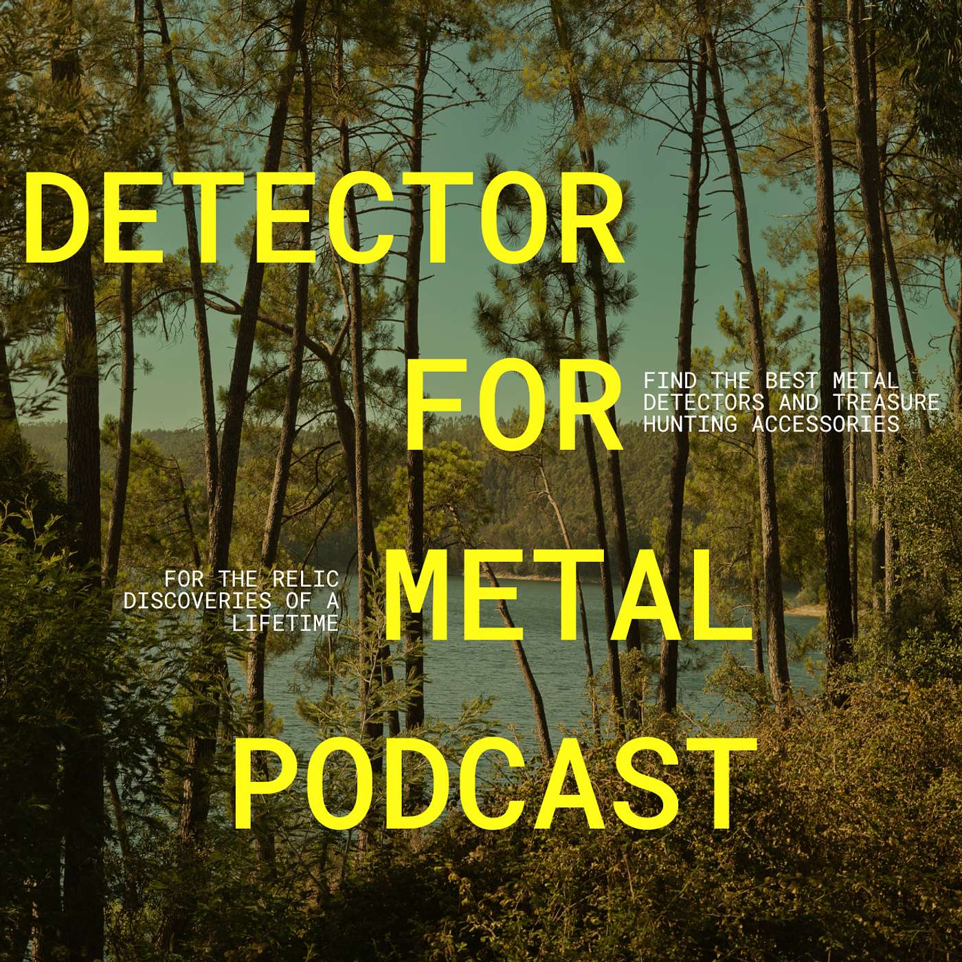 Detector For Metal Podcast cover art