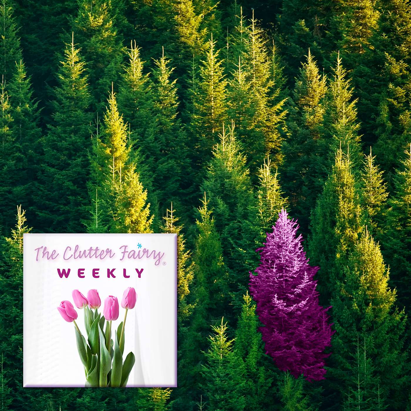 The Clutter Fairy Weekly #48 - Guilt-free Task Management: Make Your To-do List Work for You