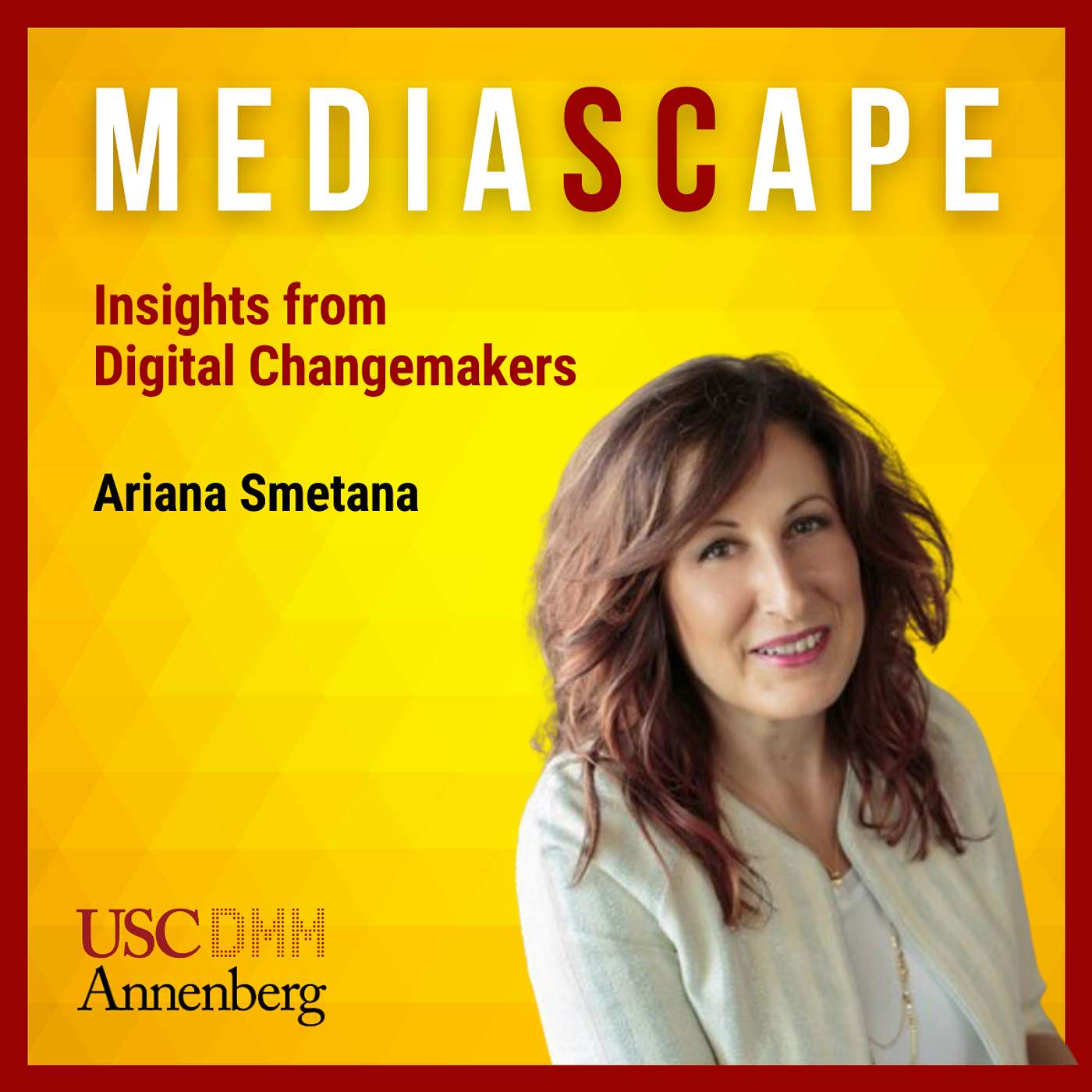 Navigating the Digital Landscape through AI and Custom Solutions with Ariana Smetana