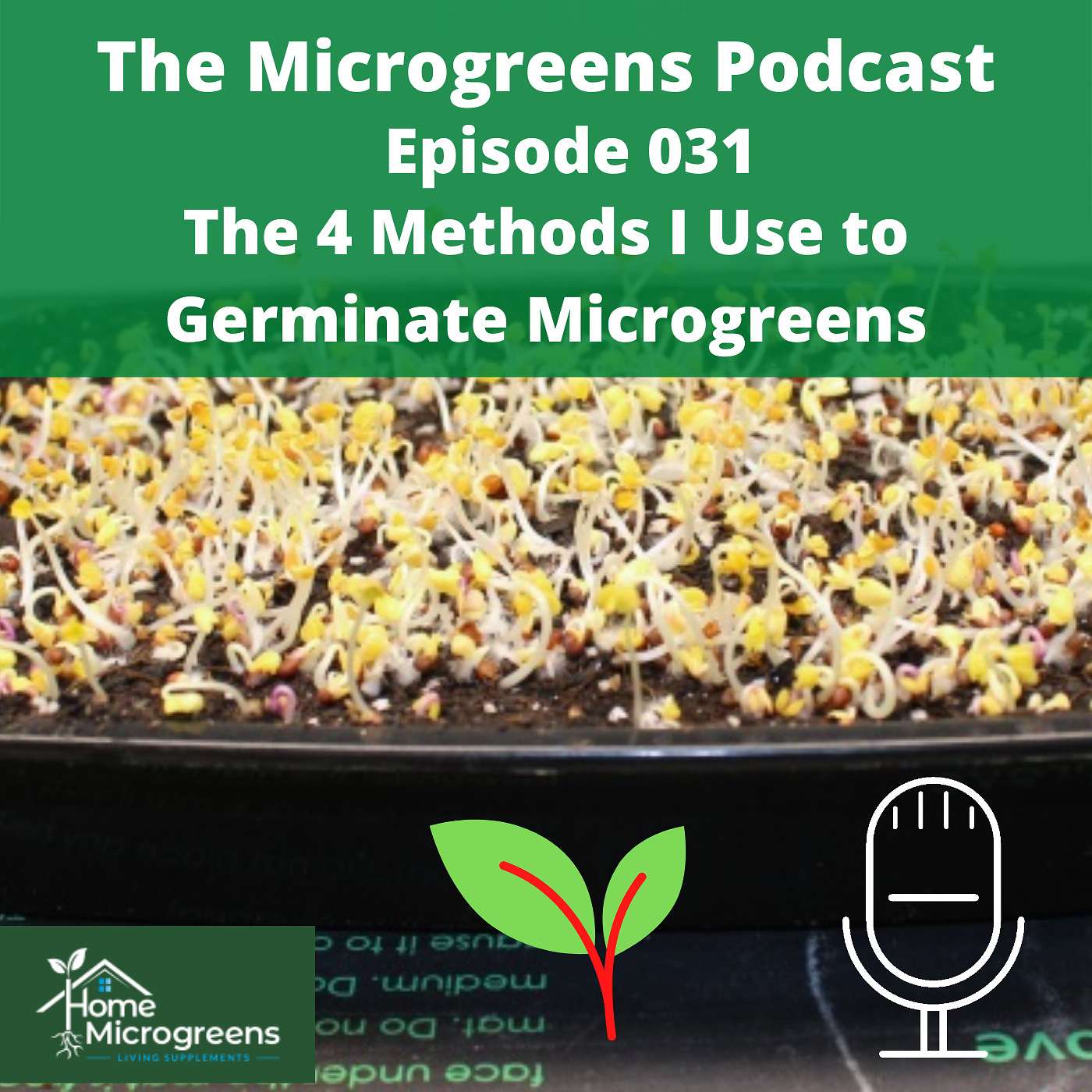 The 4 Methods I Use to Germinate Microgreens The 4 Methods I Use to Germinate Microgreens