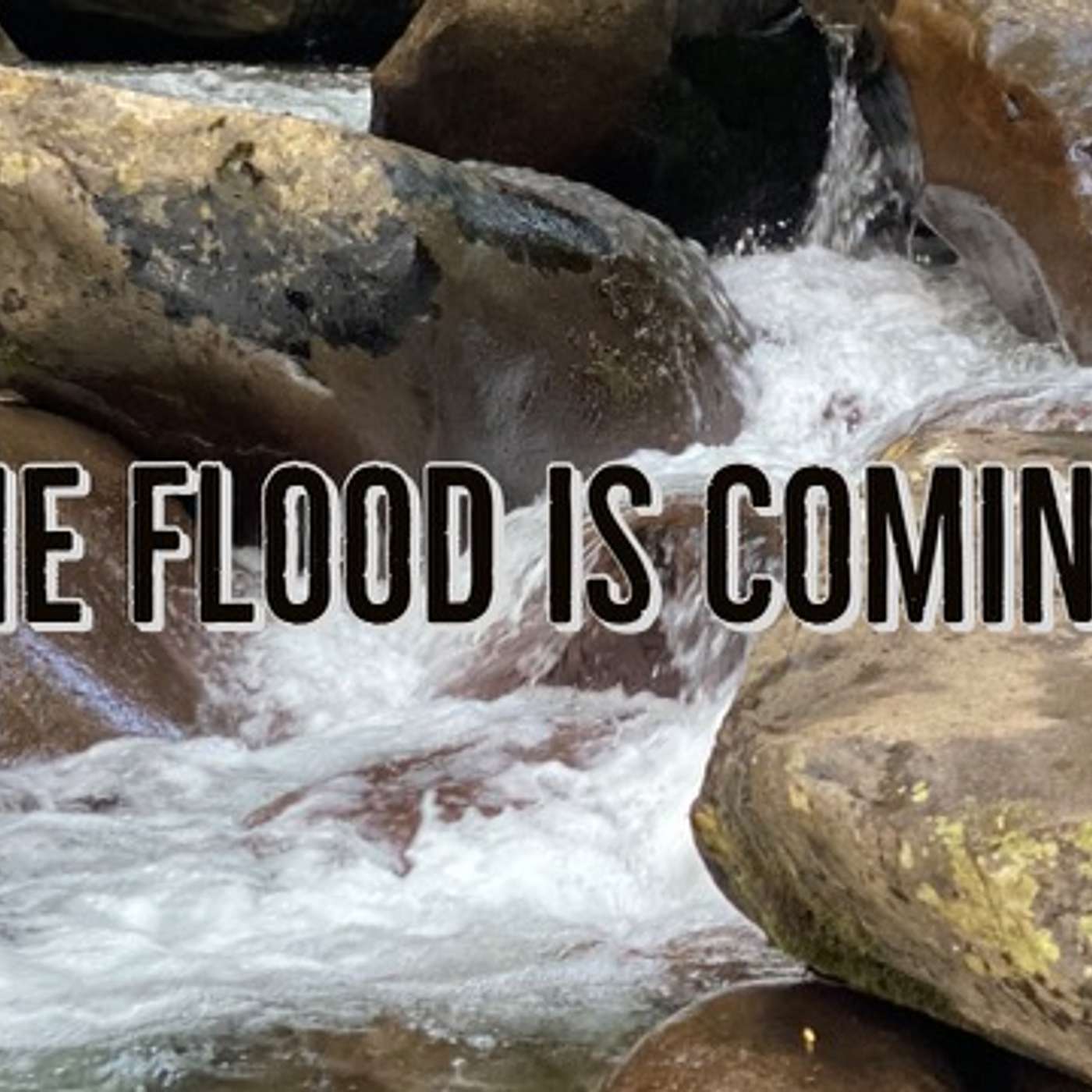 The Flood is Coming! episode artwork