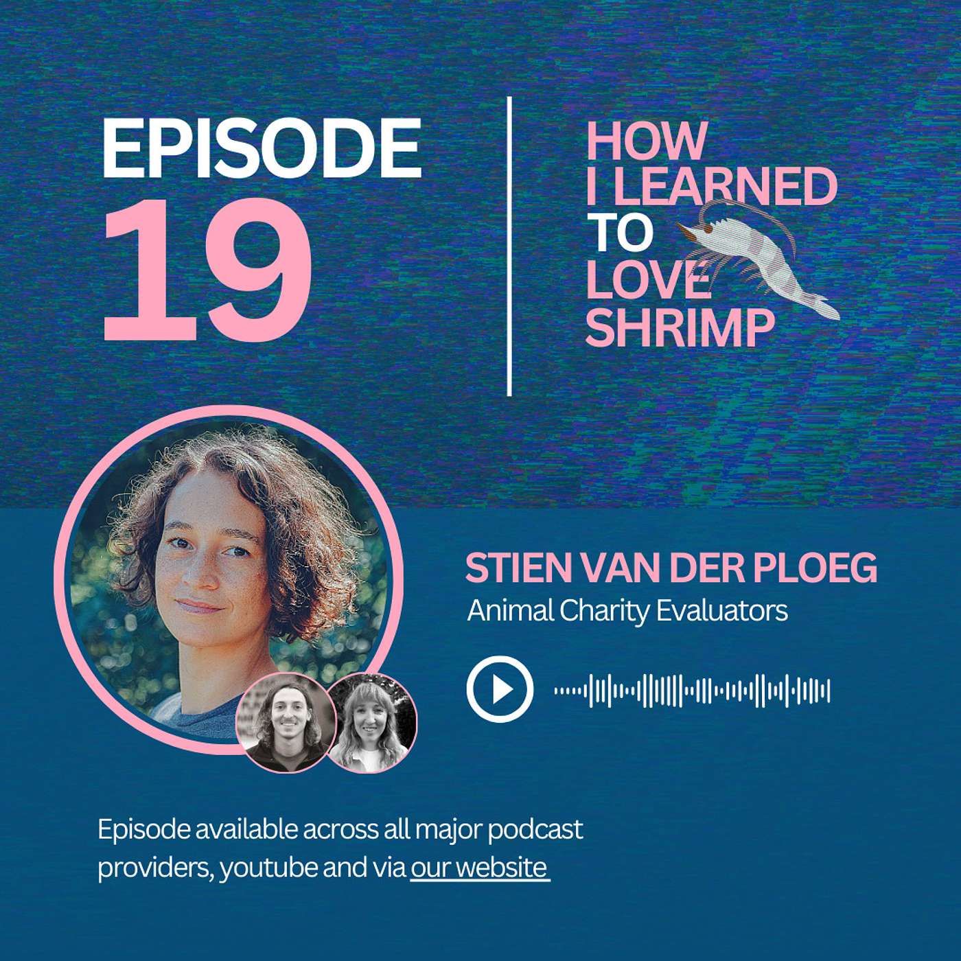 Stien Van Der Ploeg on finding the most effective animal charities