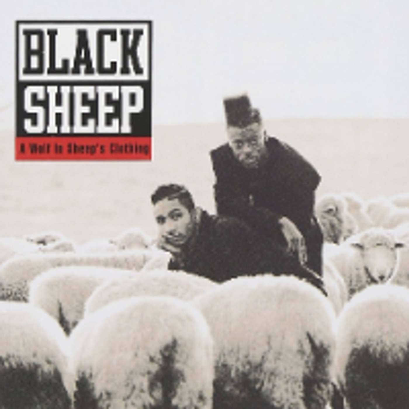 #83  A WOLF IN SHEEP'S CLOTHING ALBUM REVIEW - BLACK SHEEP episode artwork