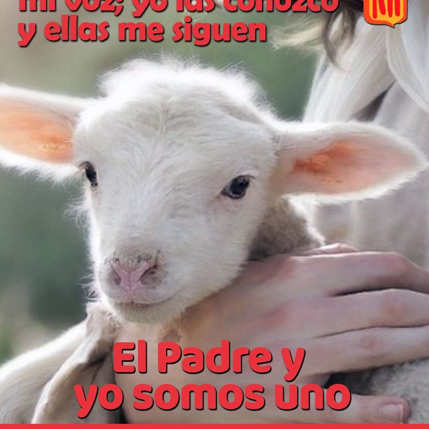 2025-05-10 San Juan 10, 27-30: IV Domingo de Pascua