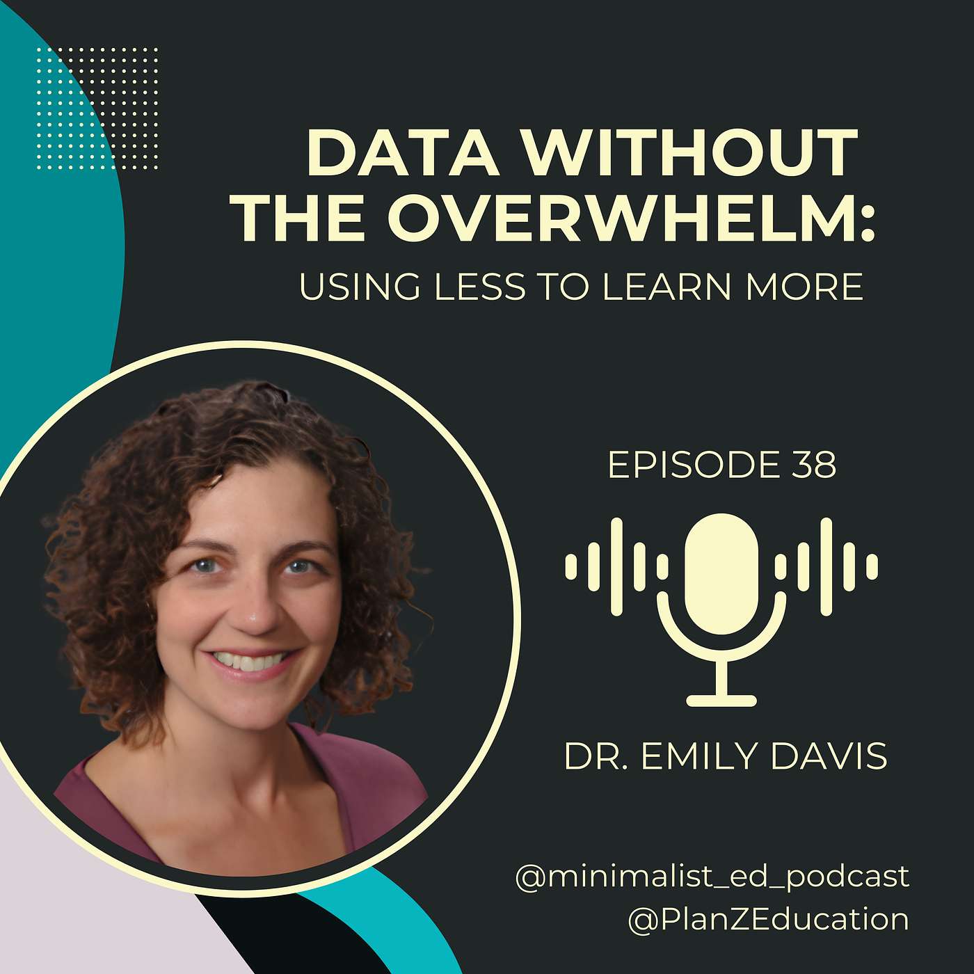Ep 038 — Data Without the Overwhelm: Using Less to Learn More with Dr. Emily Davis episode artwork