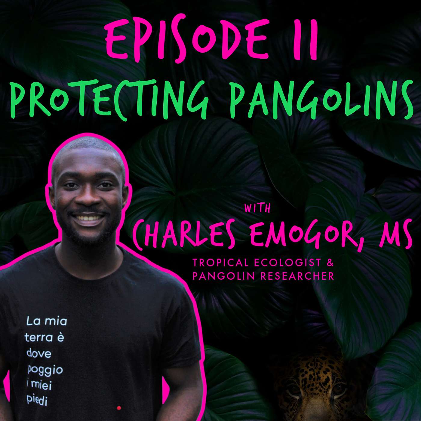 PROTECTING PANGOLINS with CHARLES EMOGOR