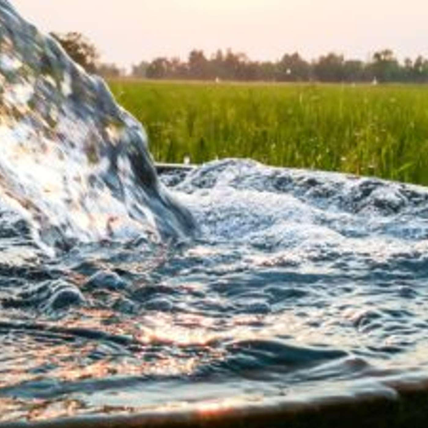 Kingman to Install 3,500 Smart Water Meters