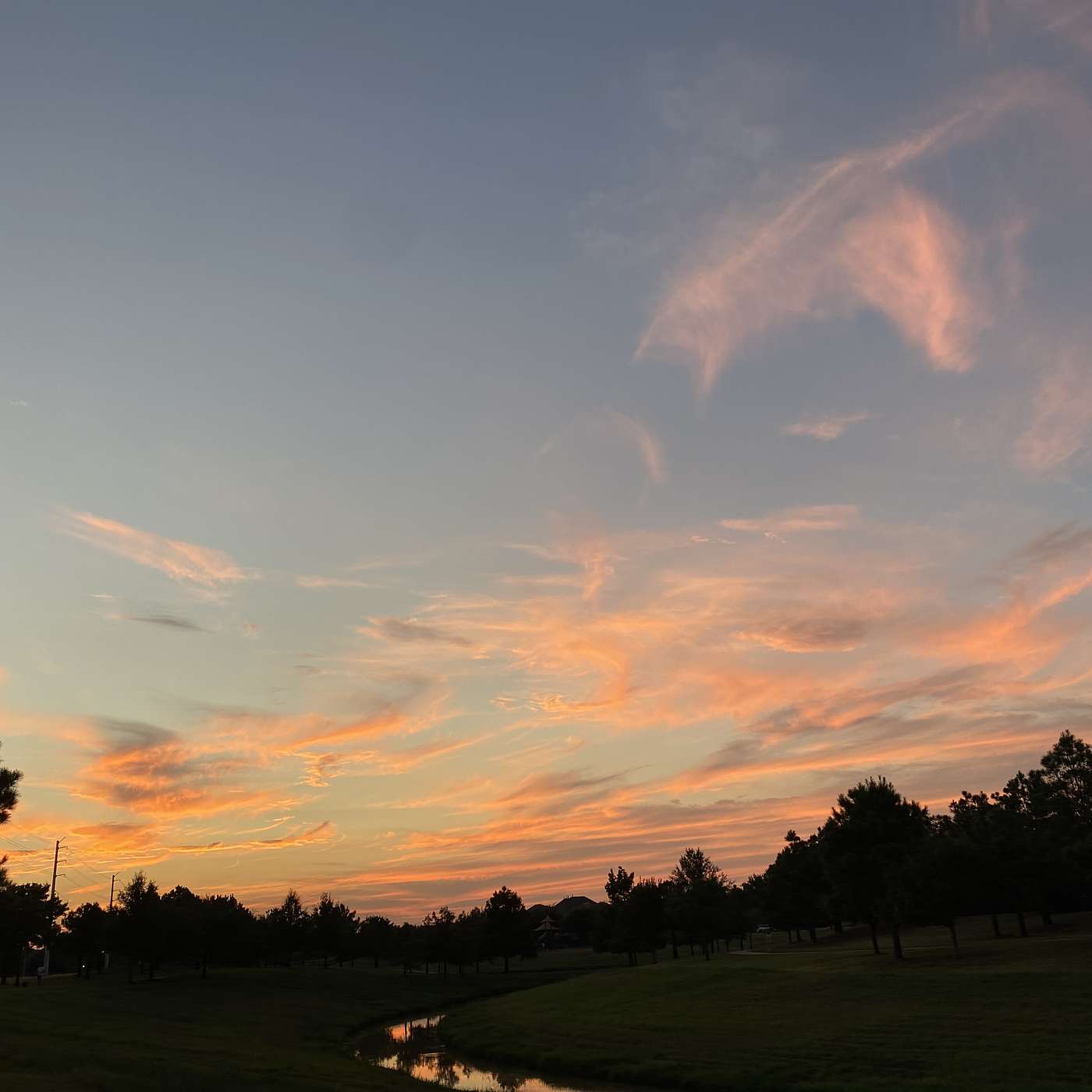 El Señor es tu salud El Señor es tu salud