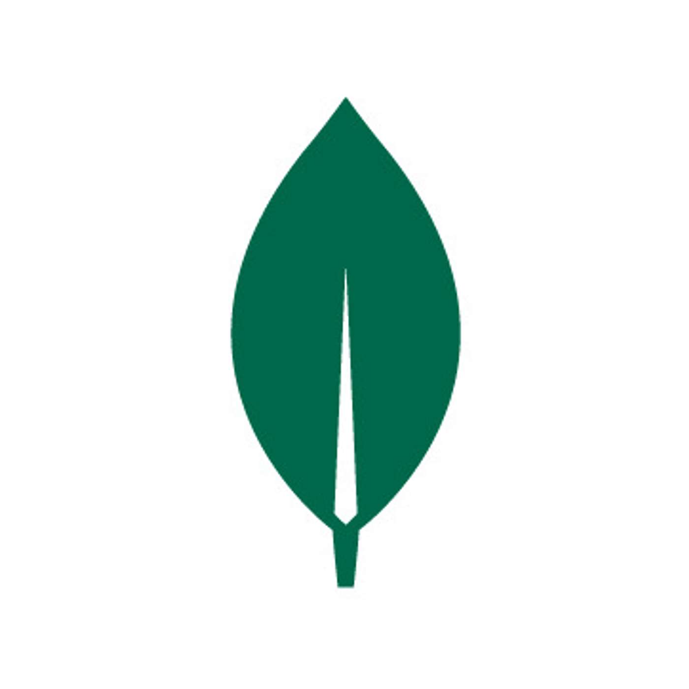 MongoDB Presents: FHIR and the Future of Healthcare at Humana