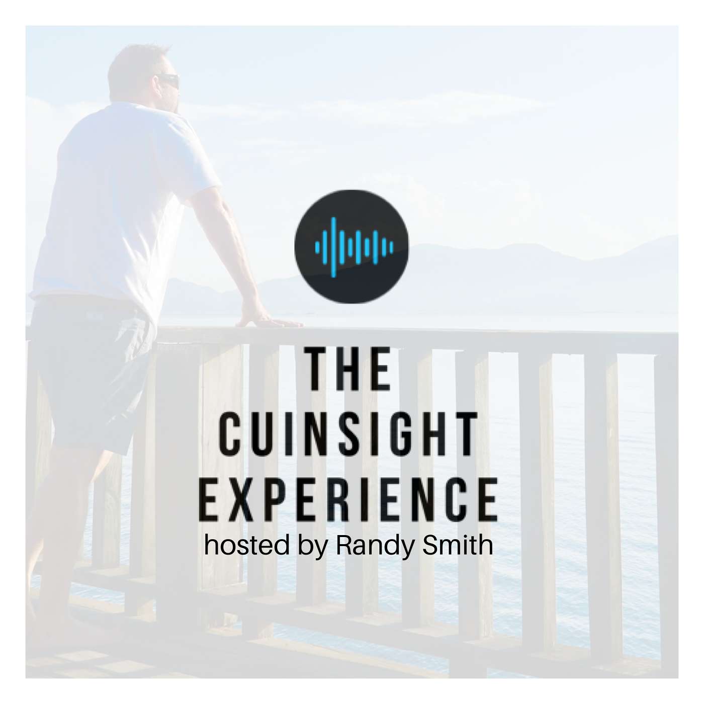 The CUInsight Experience
