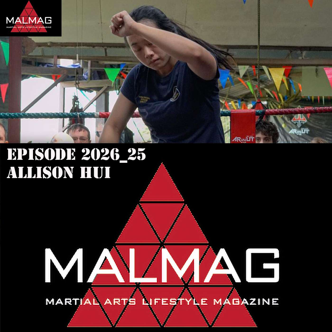The Martial Arts Lifestyle Podcast
