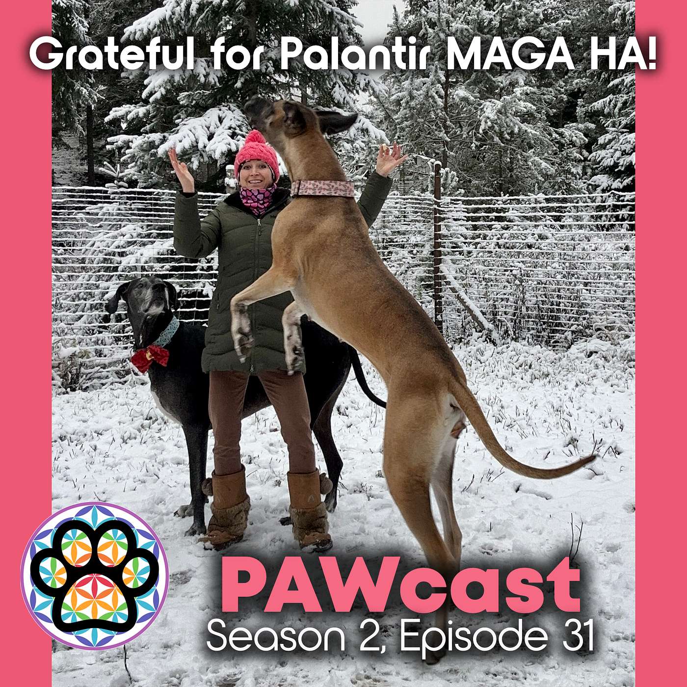 31: Grateful for Palantir MAGA...HA! :) episode artwork