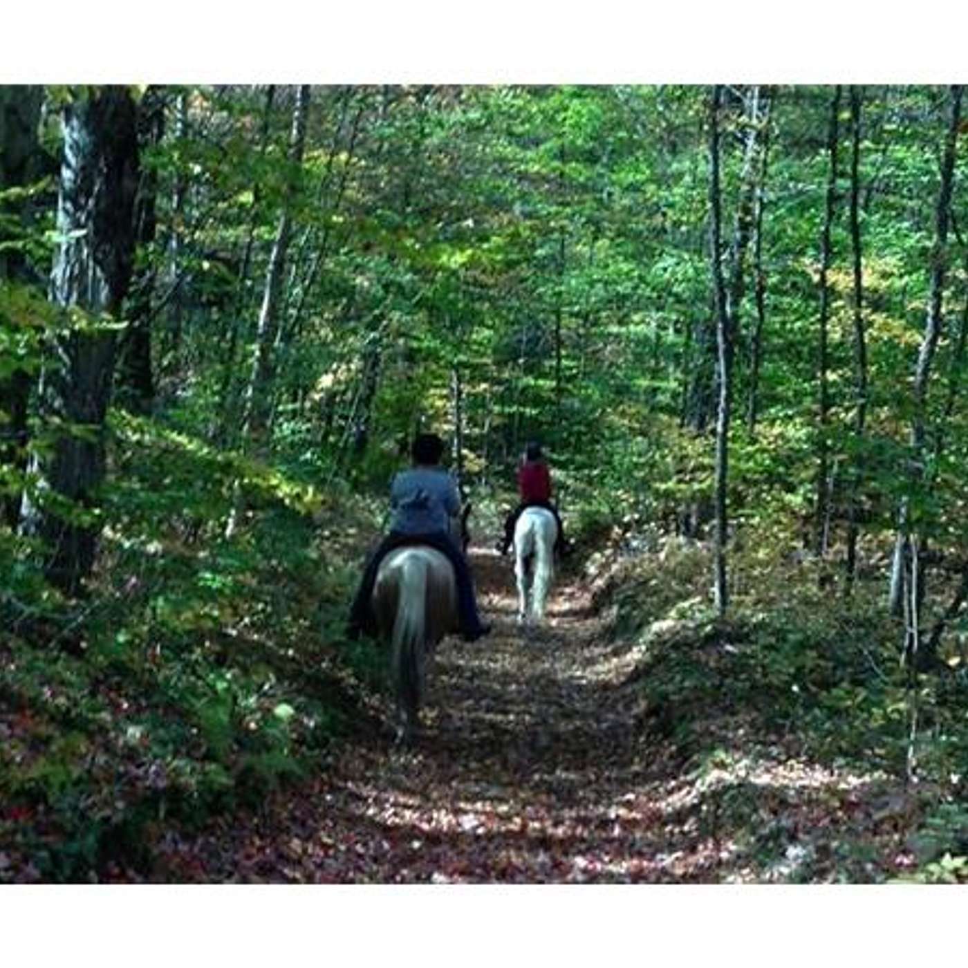 MUSIC with KERRY GROMBACHER and RIDING in NY'S ADIRONDACKS on CAMPFIRE CAFE'