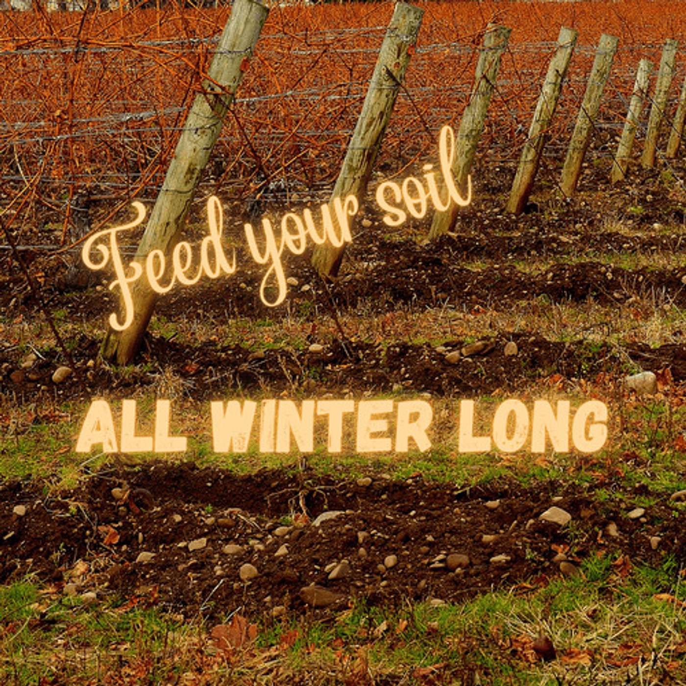 The Cornerstones of Healthy Food Systems