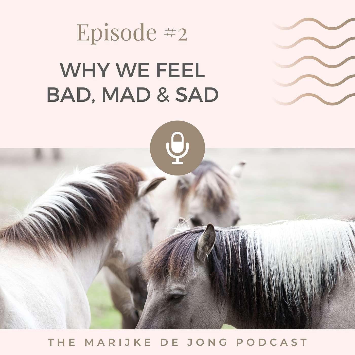 #2 Why we feel bad, mad & sad