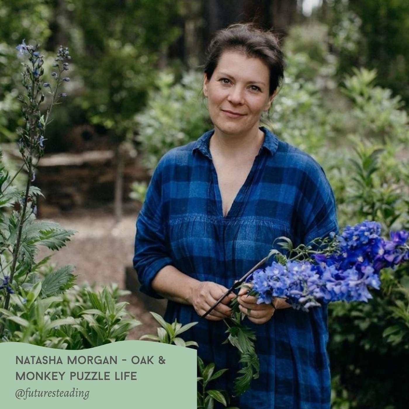 58 - Natasha Morgan shares her Oak and Monkey Puzzle life
