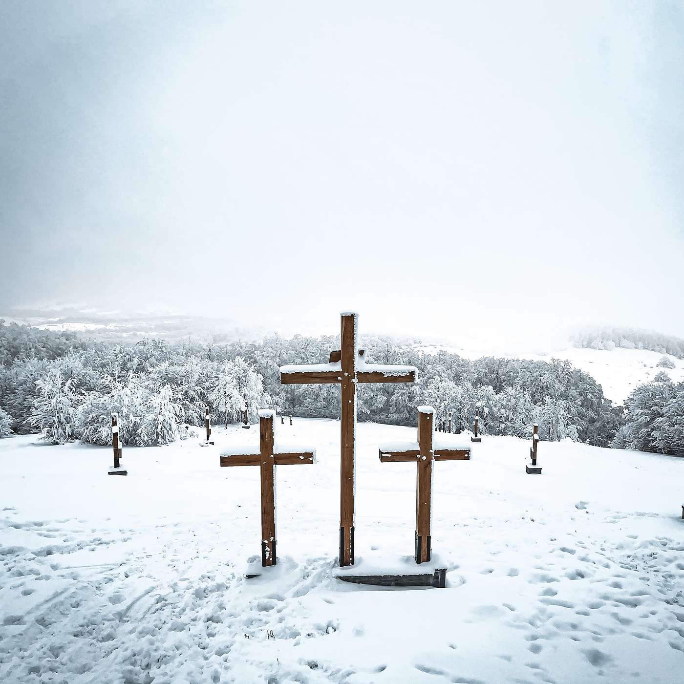 A Catholic Answer to Suffering | Paul Chaloux, author and professor