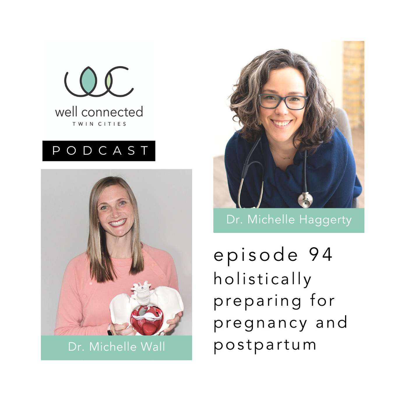 Well Connected Twin Cities Podcast