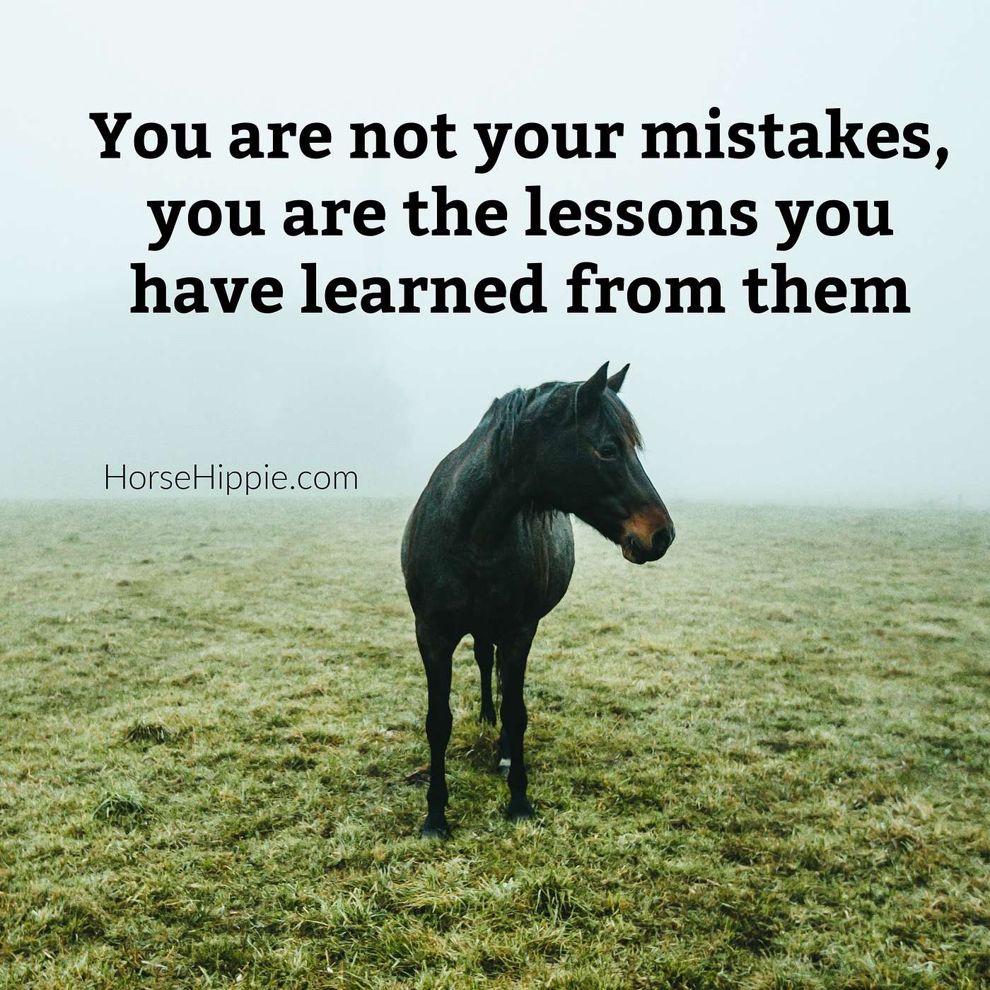 You Are Not Your Mistakes episode artwork