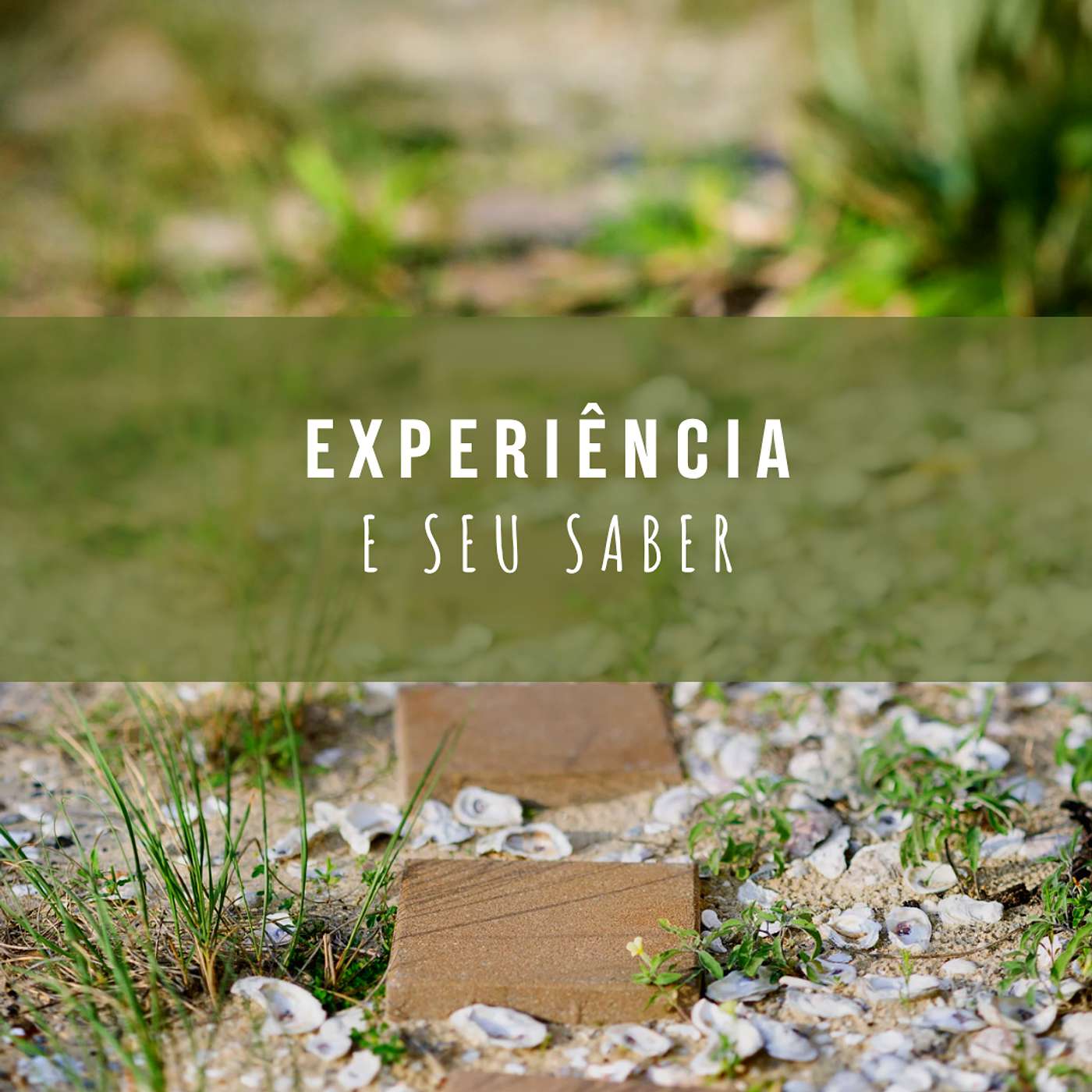 Trocas Preciosas