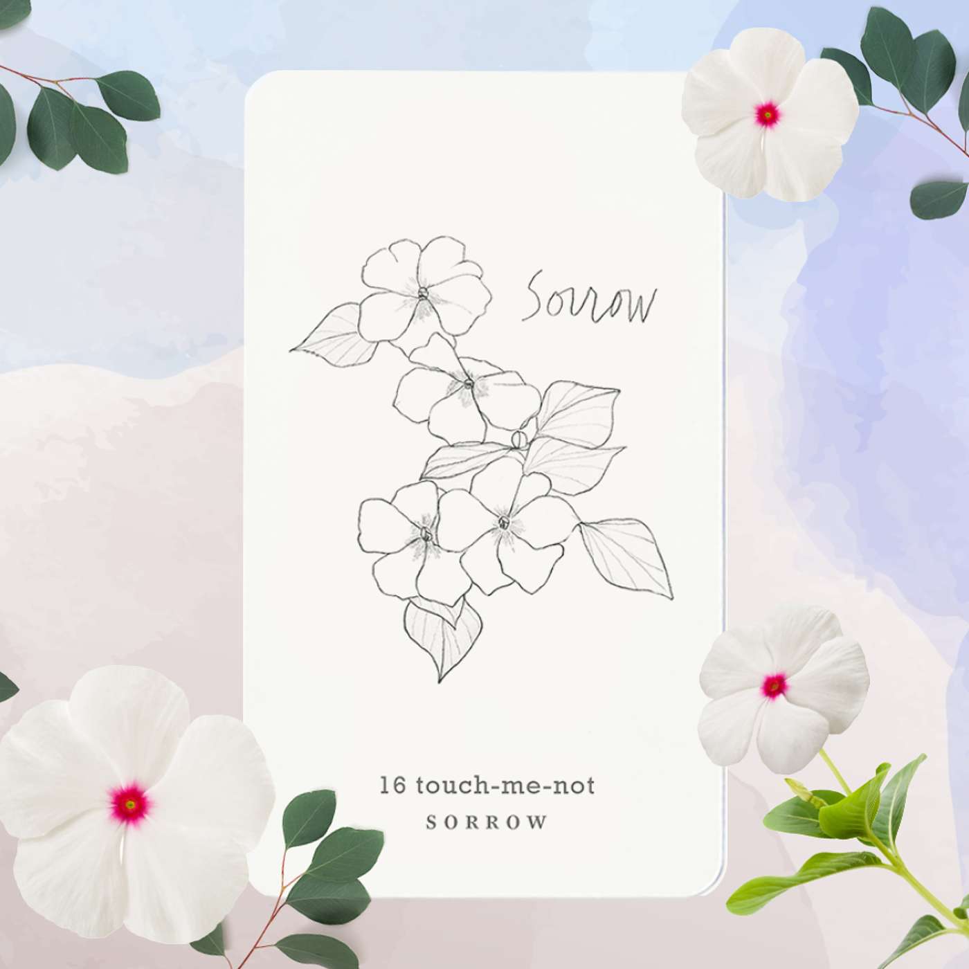 Gratitude Blooming Podcast