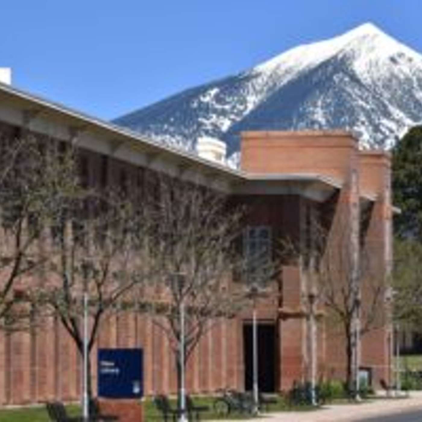 NAU Professor Earns Rare National Science Honor