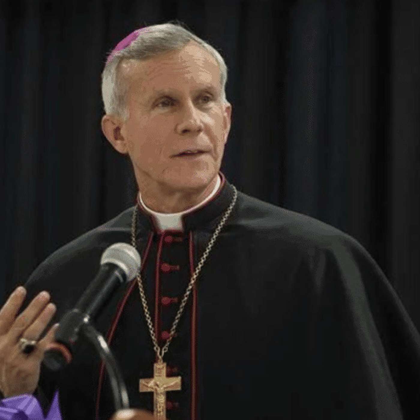Episodio 872: 😲 Papa Francisco Le Pedirá Al Obispo Strickland La RENUNCIA / Luis Román episode artwork