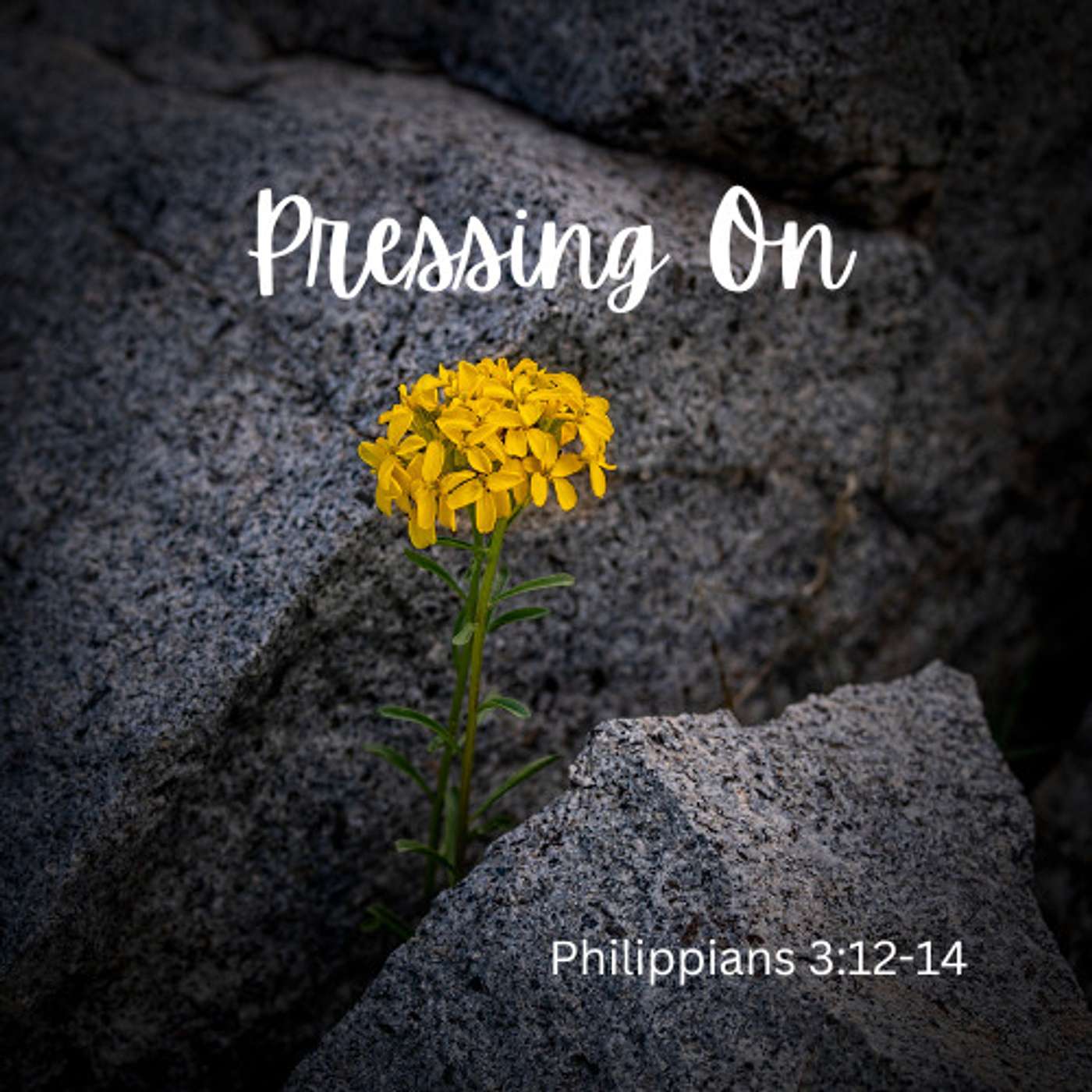 Pressing On - Combined Service