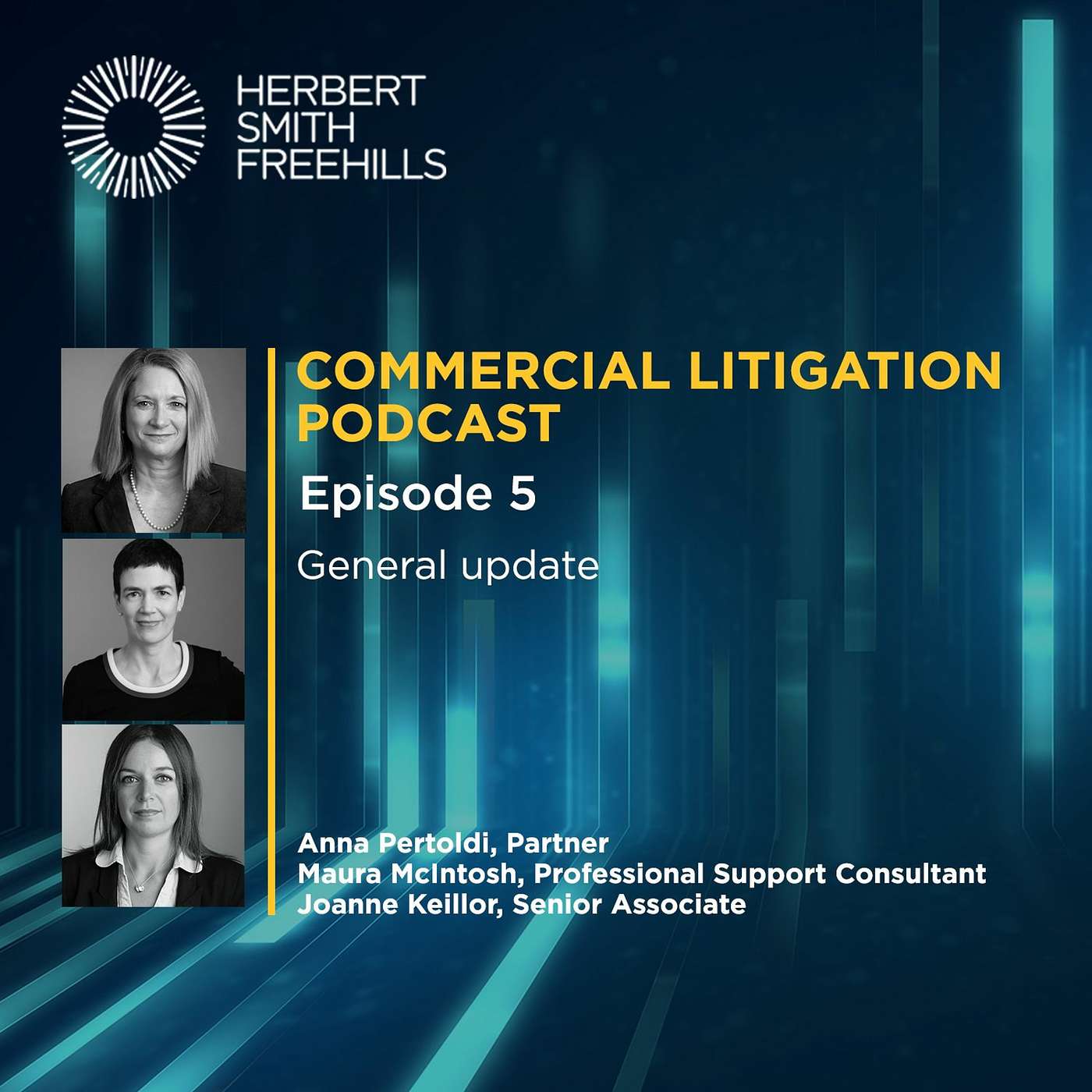 Commercial Litigation EP5: General update episode artwork