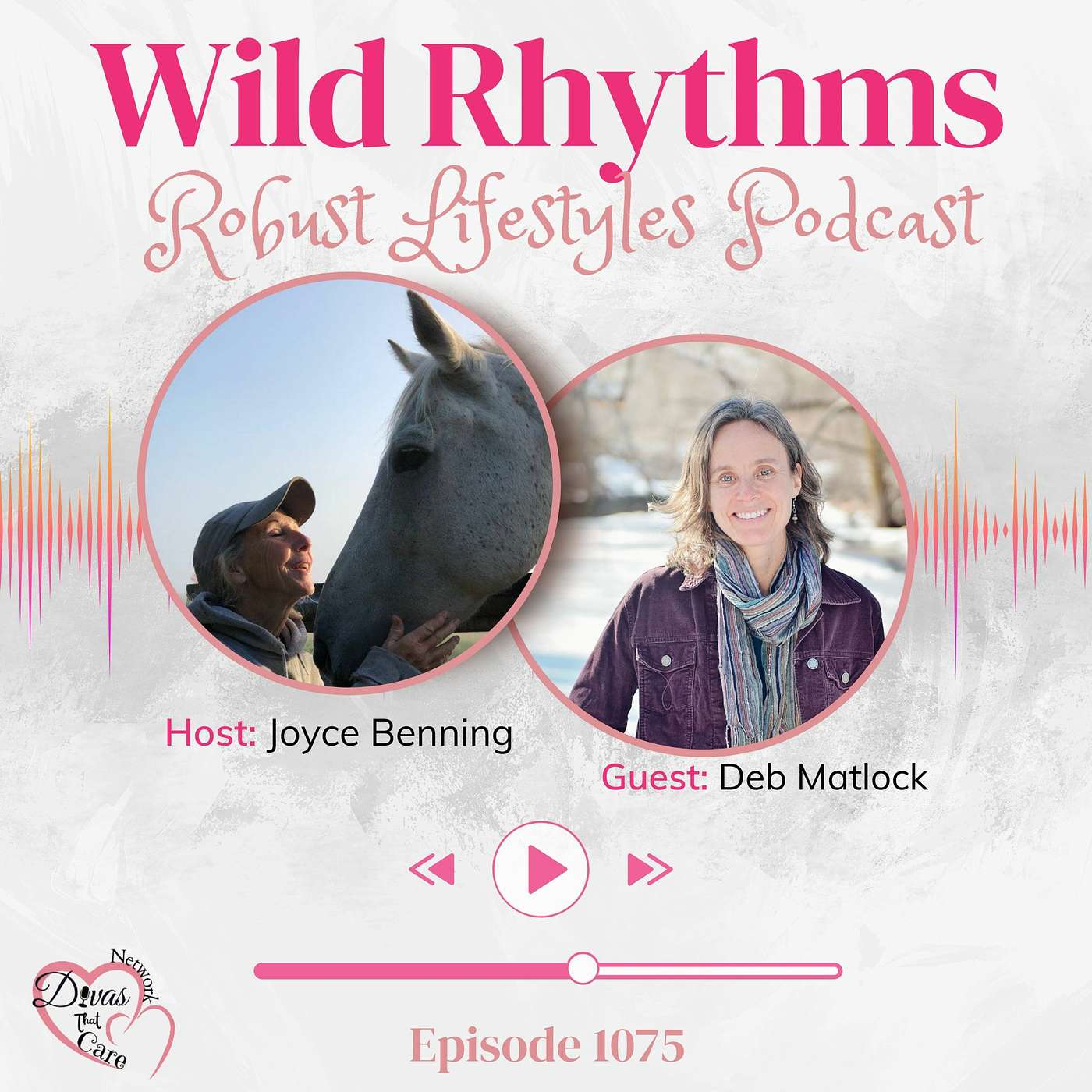 Wild Rhythms episode artwork