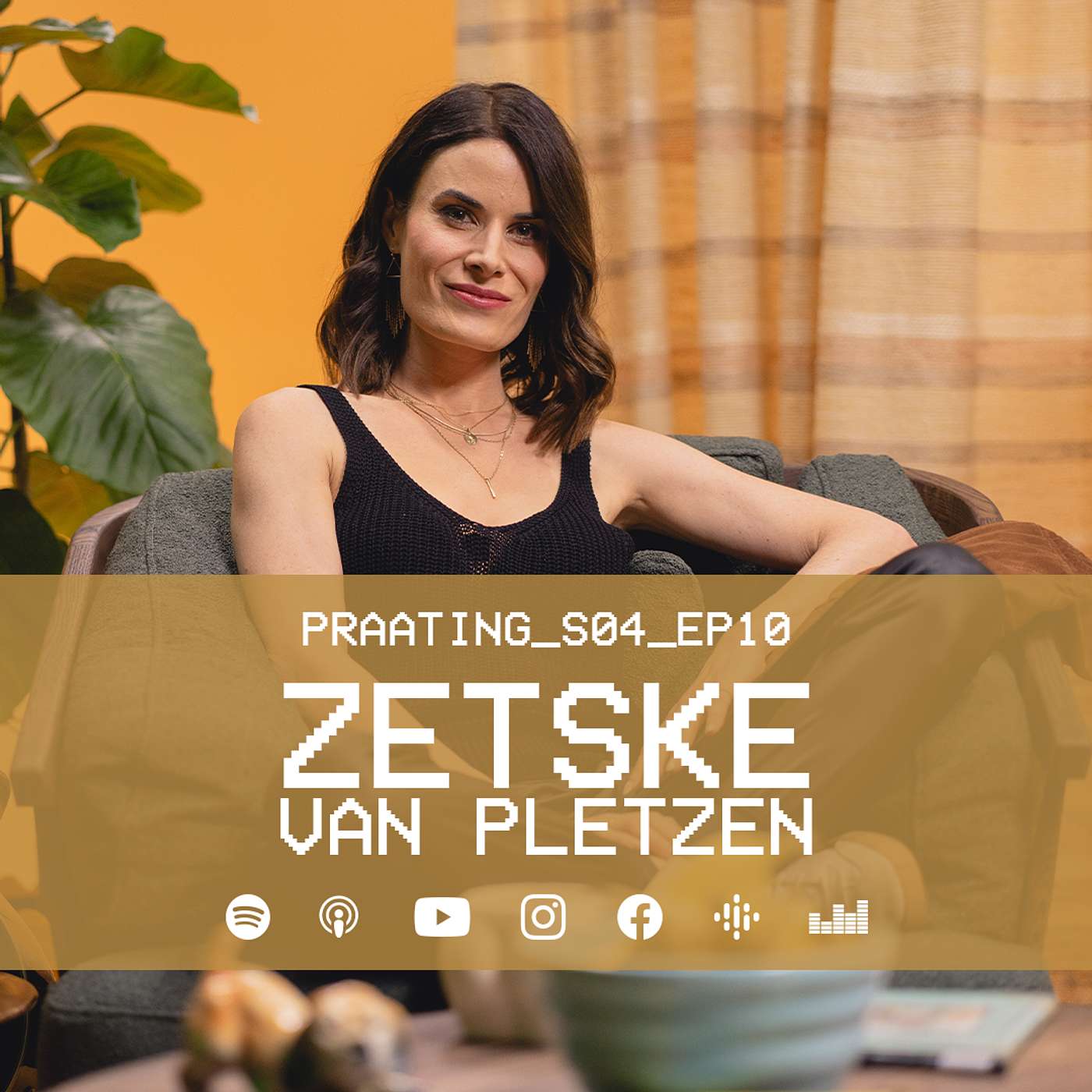ZETSKE VAN PLETZEN