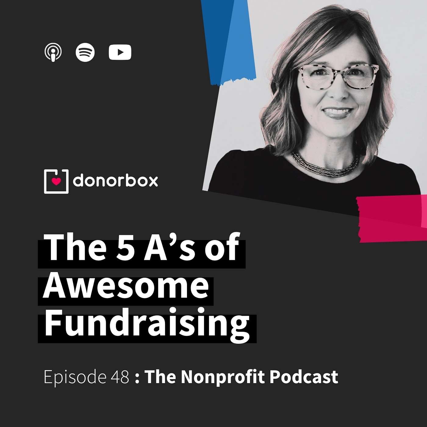 The Nonprofit Podcast
