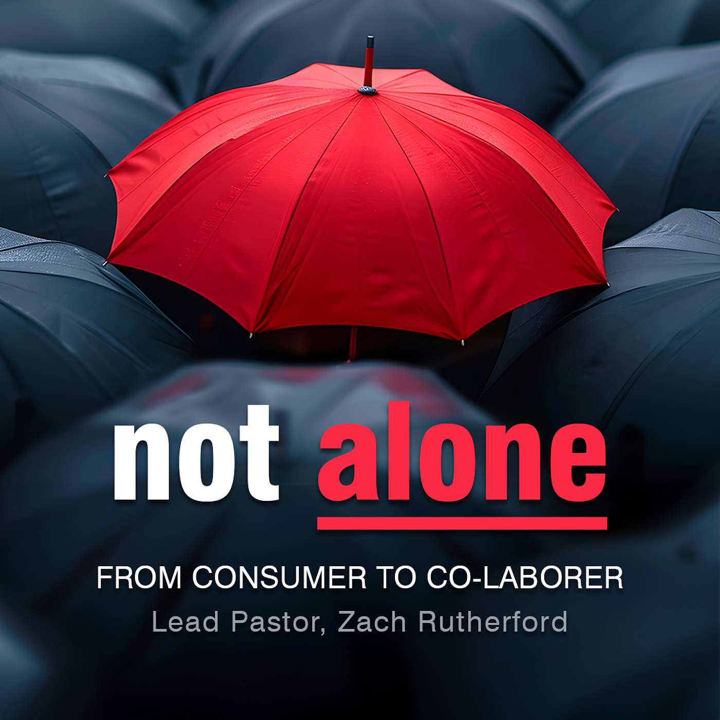 From Consumer to Co-Laborer episode artwork