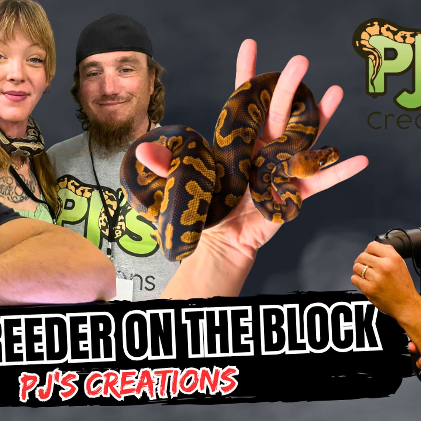 Hottest Ball Python Projects Of 2026 | New Breeder On The Block (Live) episode artwork