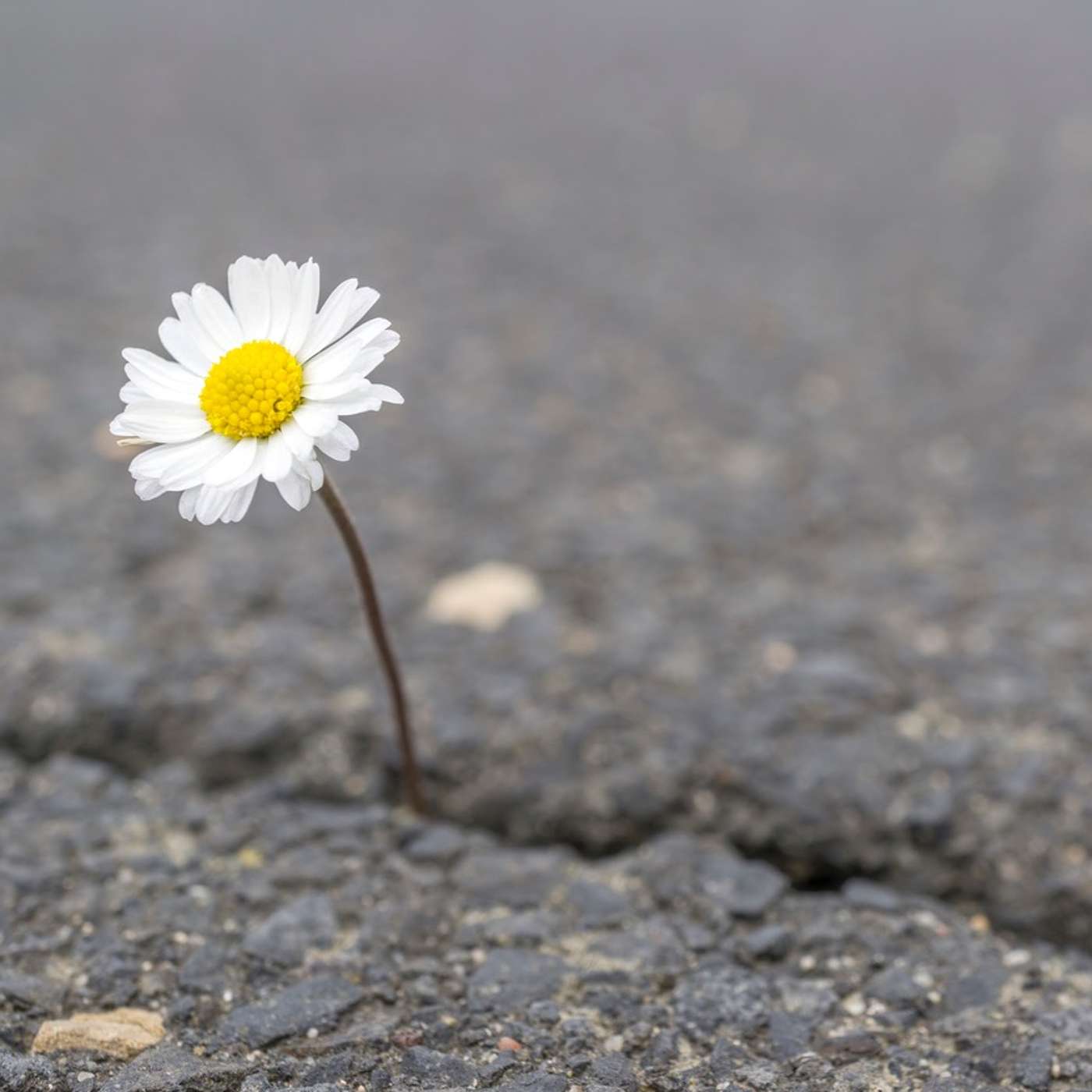 Encounters — A pediatrician shares the story of a memorable patient whose life was too short