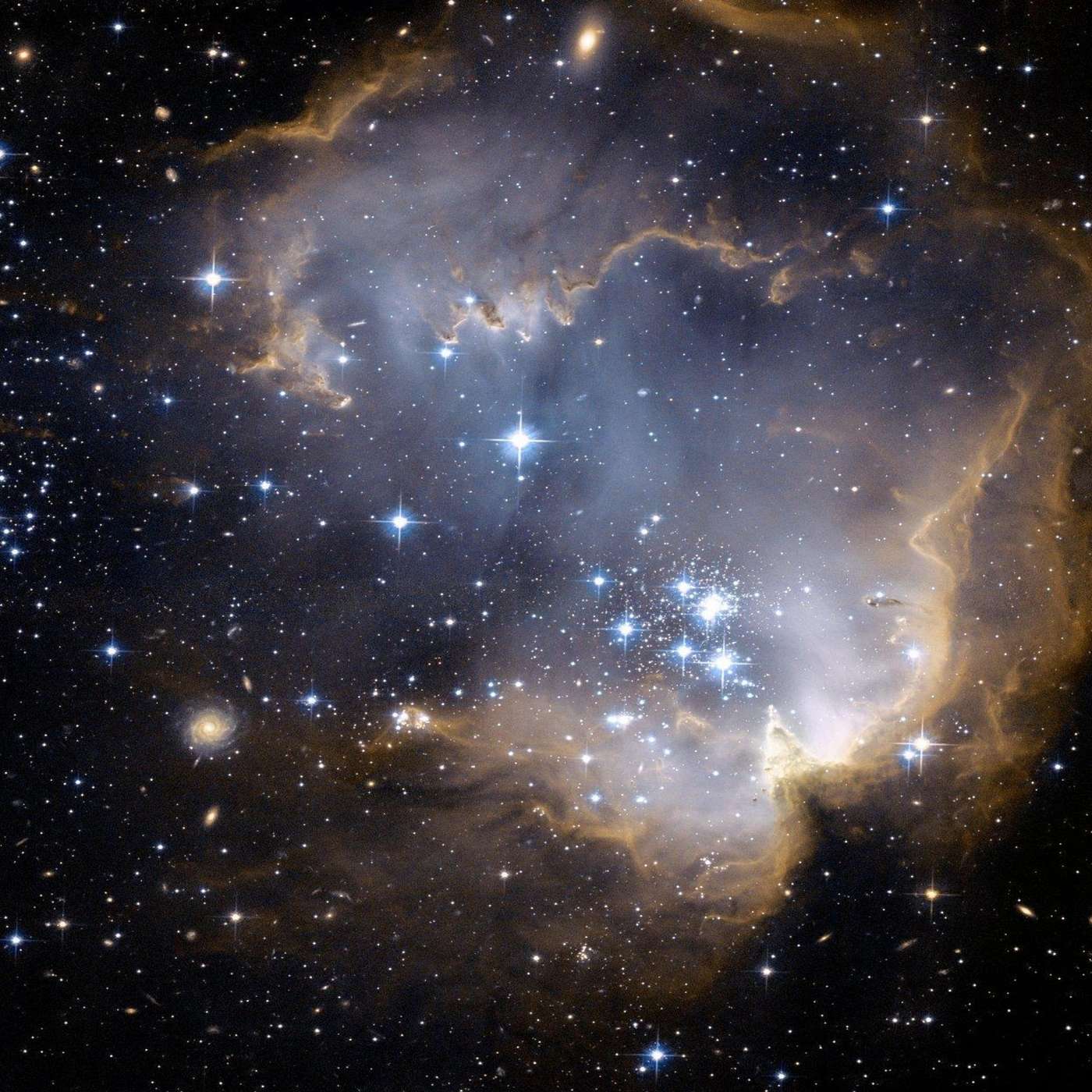 19. Life's connection to the universe