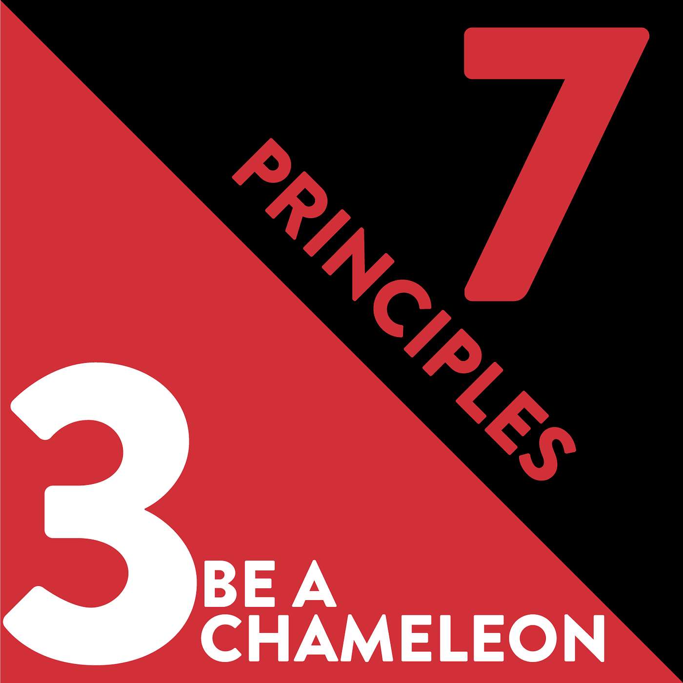 Be a Chameleon: The Third Principle of Relationship Management