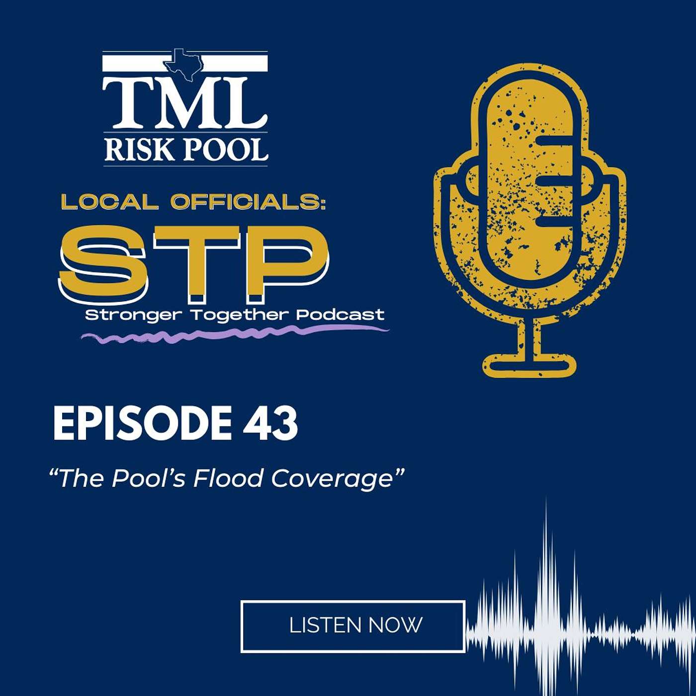 Local Officials: Stronger, Together Podcast