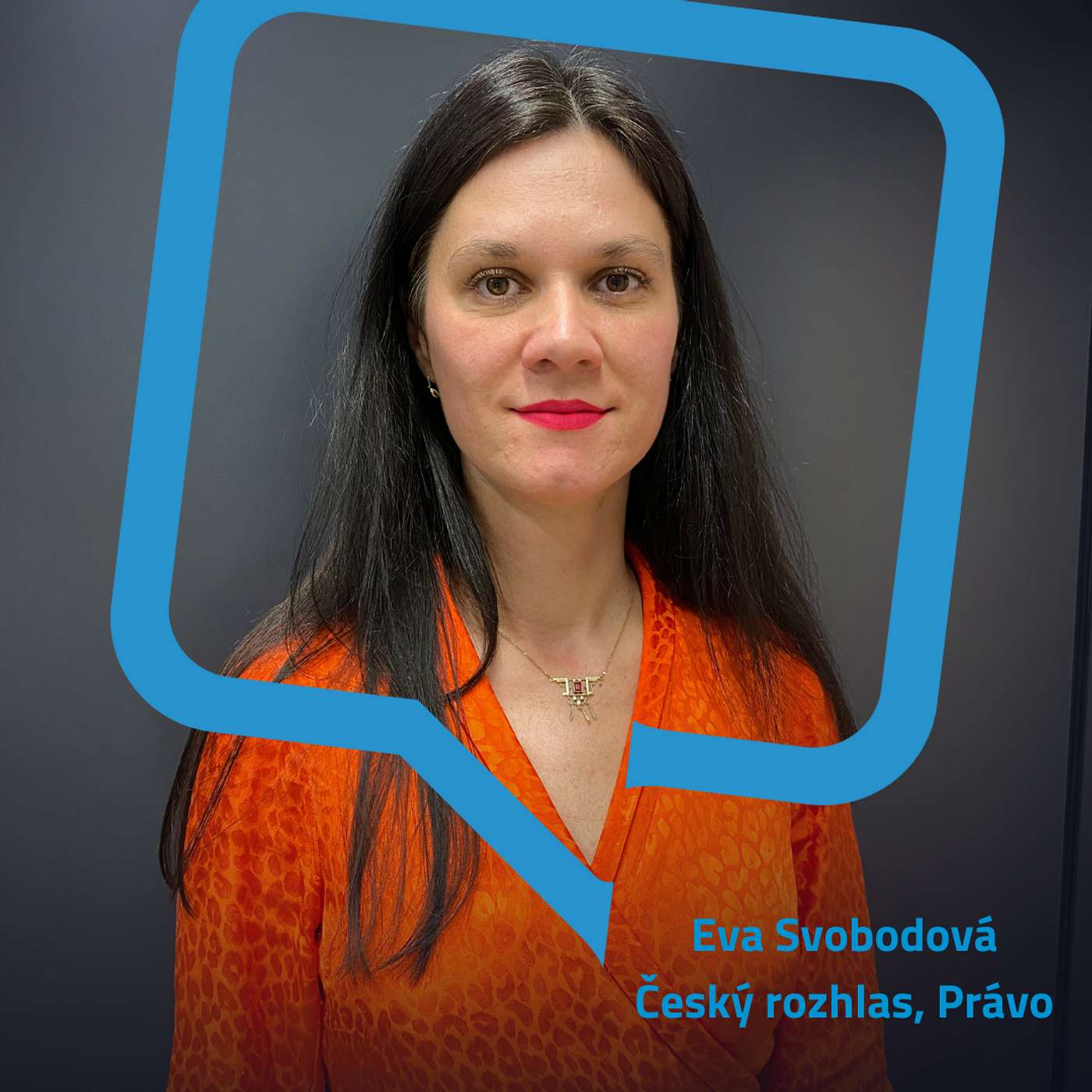 Rozpravy o médiích