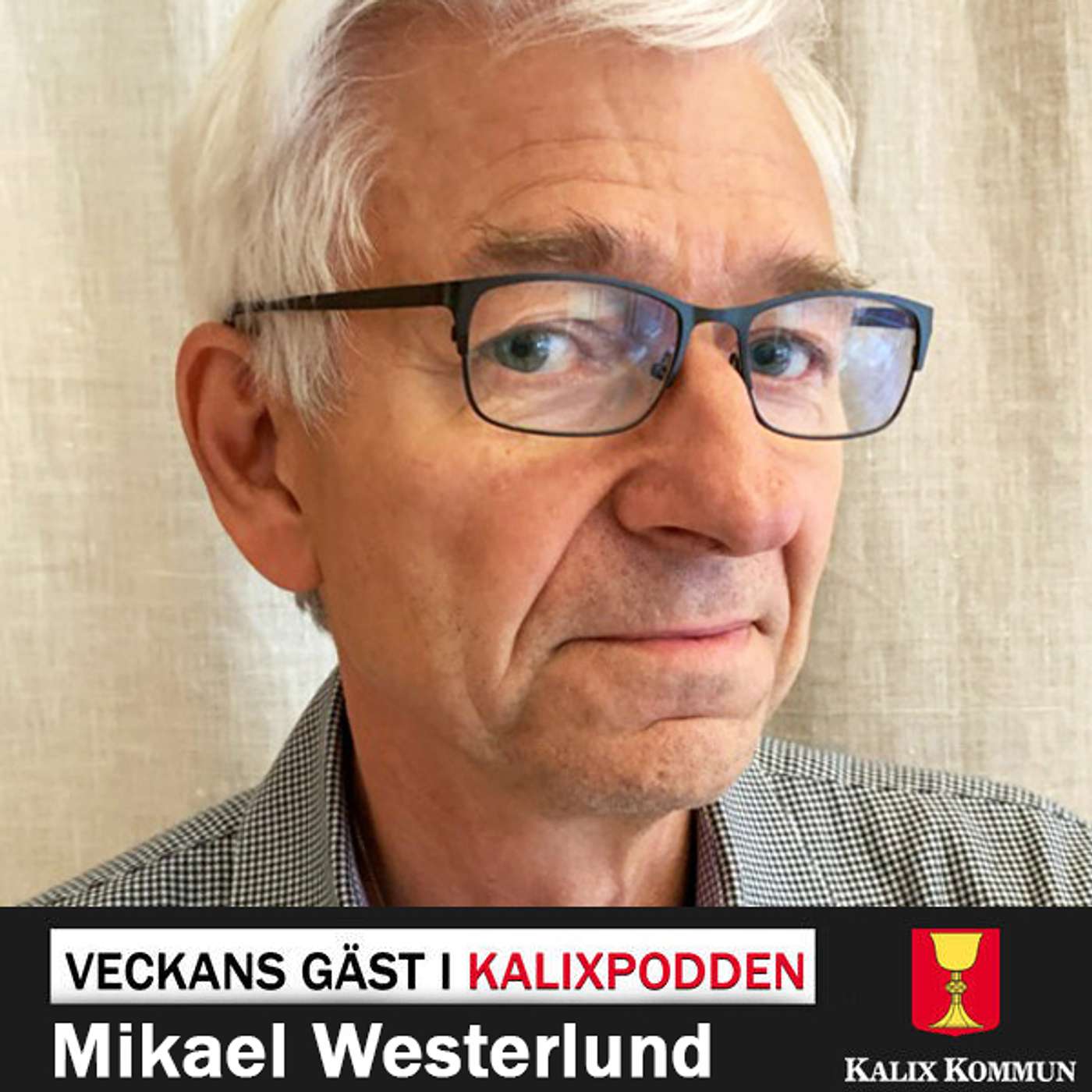 Kalixpodden
