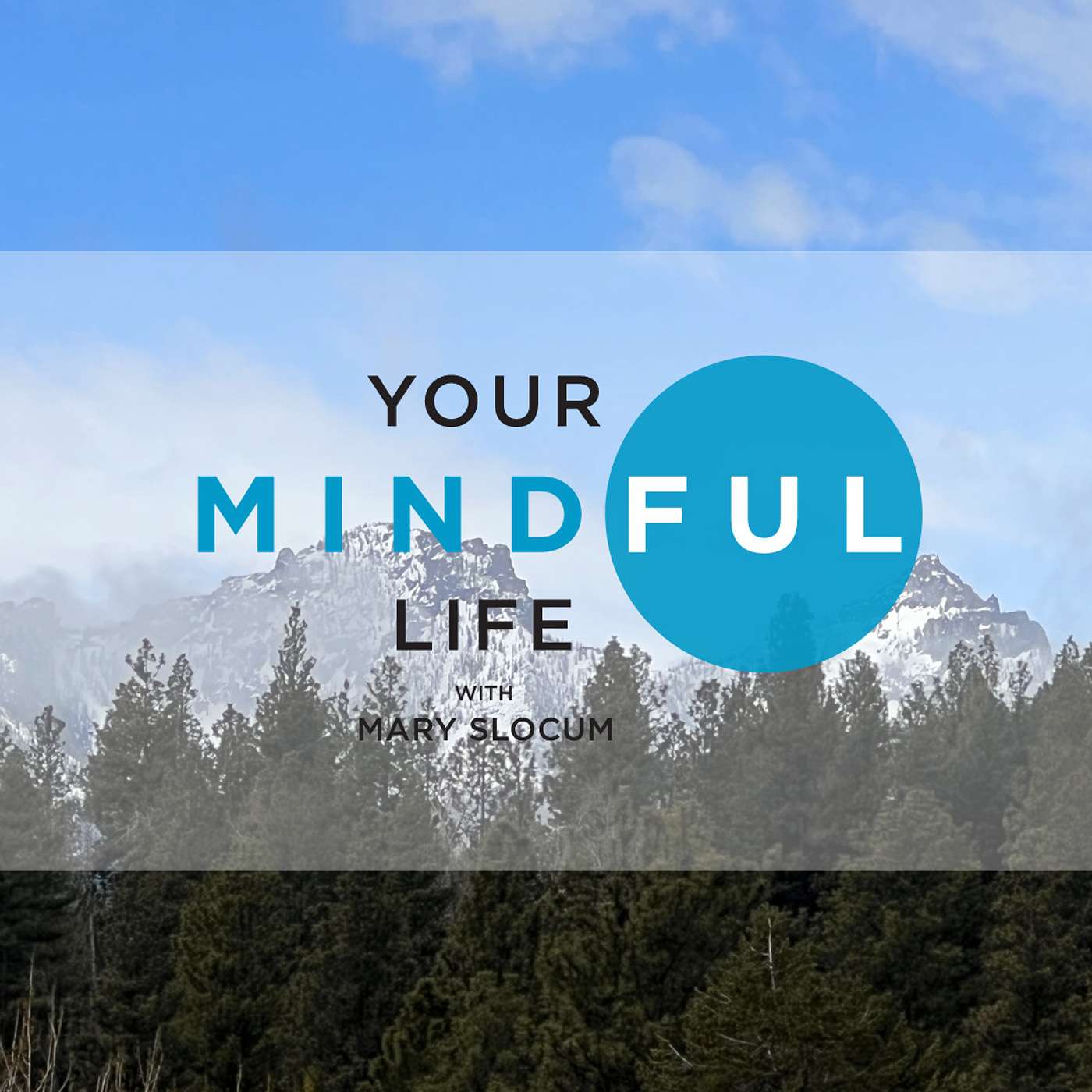 Your Mindful Life
