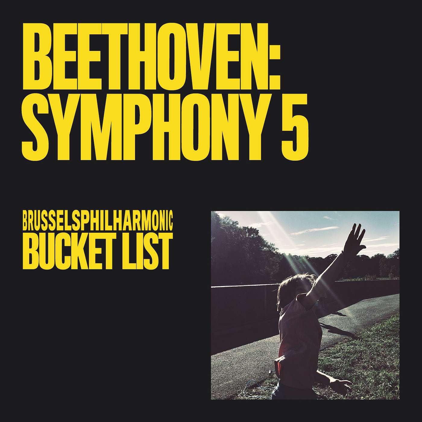 Beethoven's Vijfde: Hans van der Zanden (hoorn) episode artwork