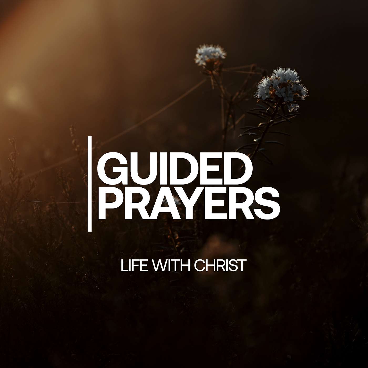 God Will Resolve The Pressures Of Life | Guided Prayers episode artwork