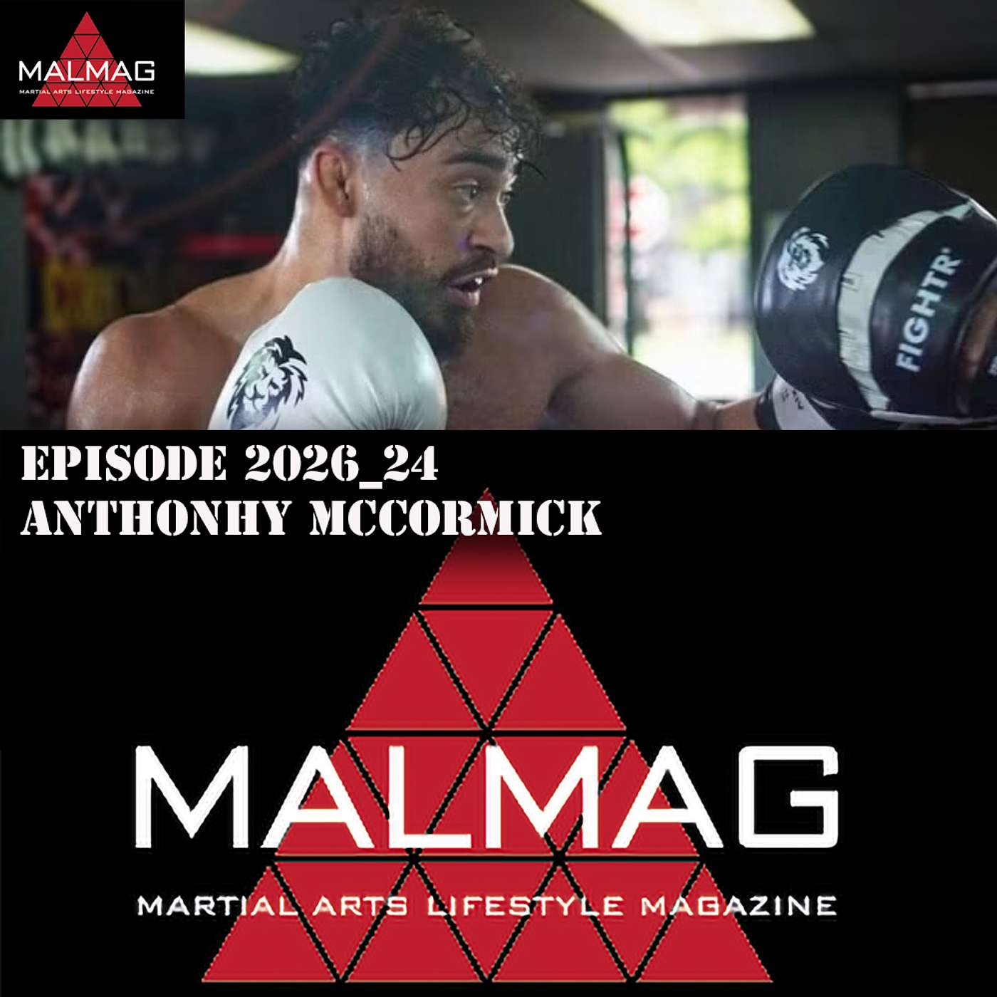 The Martial Arts Lifestyle Podcast