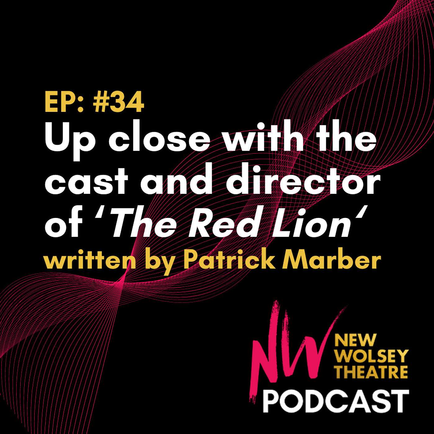 New Wolsey Theatre Podcast