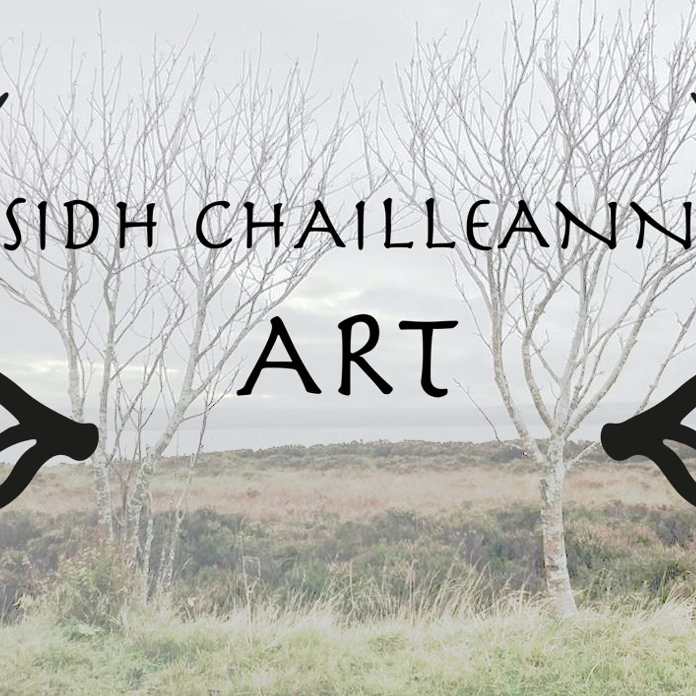 Sidh C Art Talks cover art