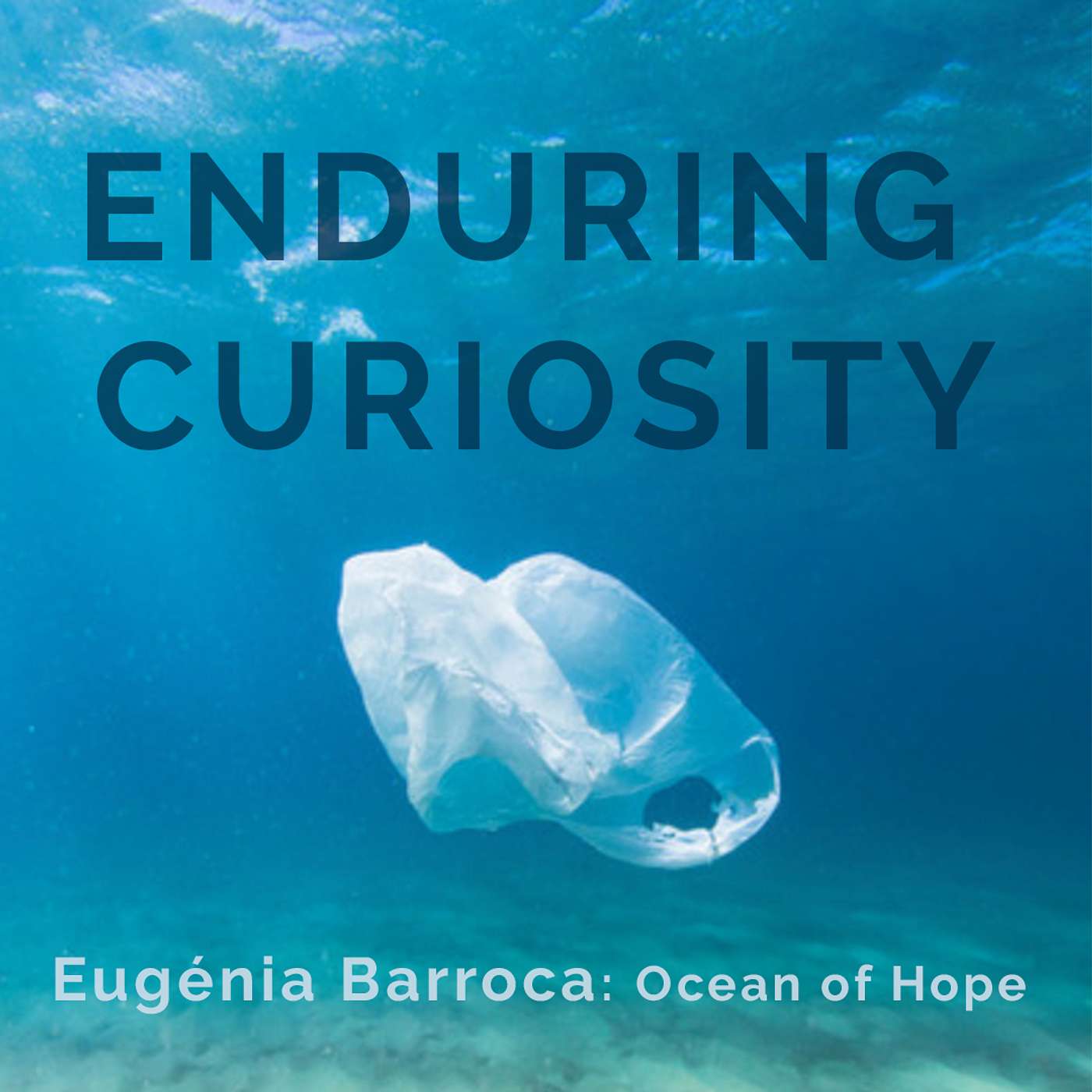 Enduring Curiosity