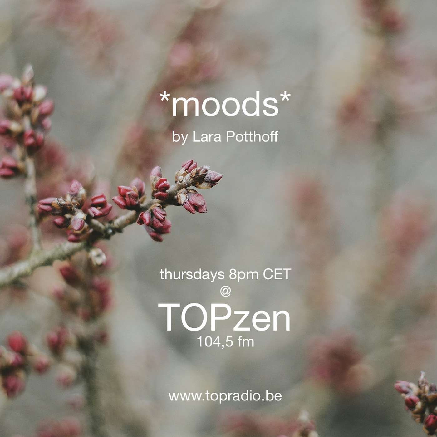 *moods* @ TOPzen by Lara Potthoff 27.01.2022