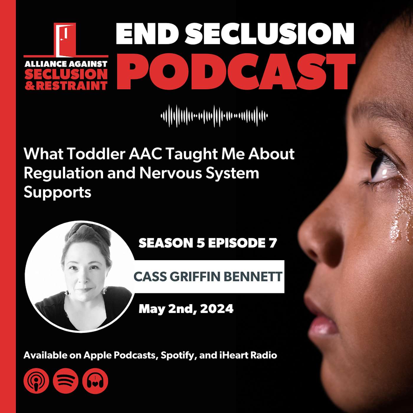 What Toddler AAC Taught Me About Regulation and Nervous System Supports