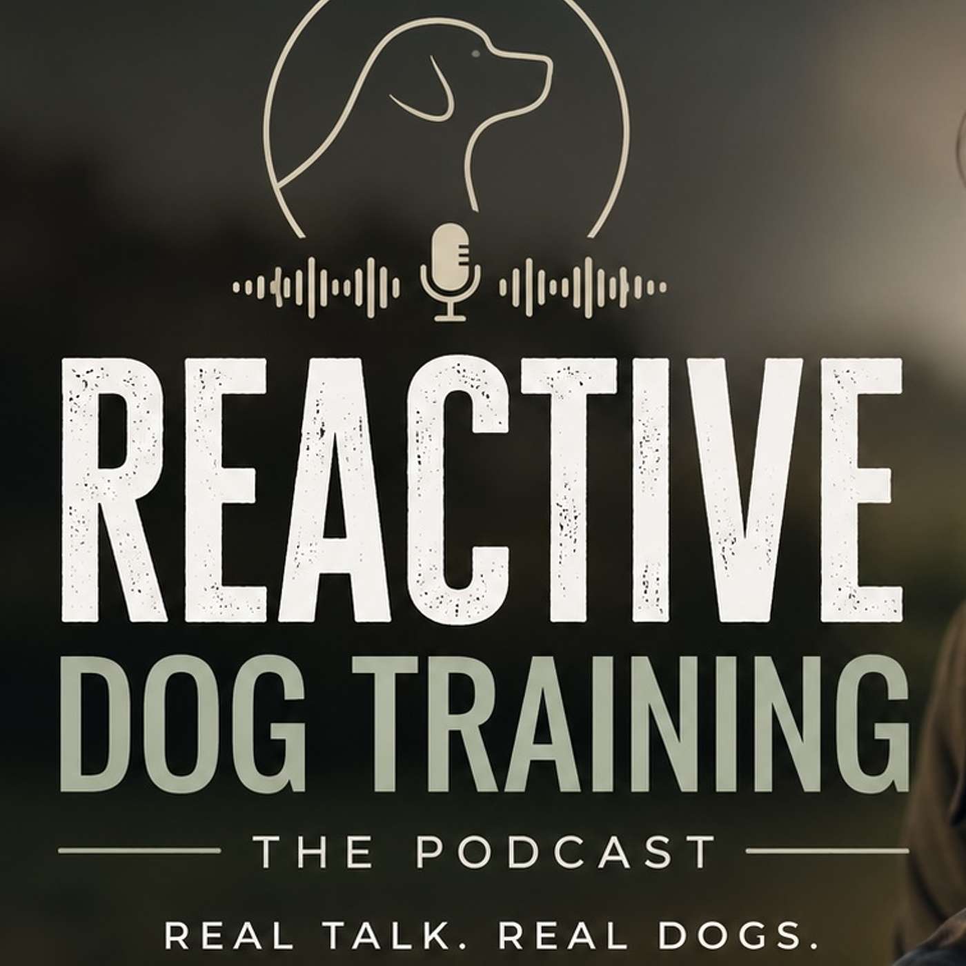 Reactive Dog Training